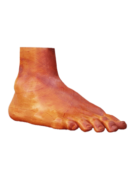 Self study of Foot