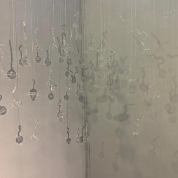 Installation